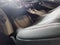 2027 INFINITI QX65 Sport AWD